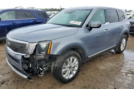 Kia Telluride 2020г.