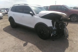 Kia Telluride 2023г.