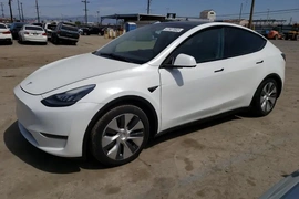 Tesla Model Y 2020г.