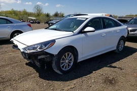 Hyundai Sonata eco 2019г.