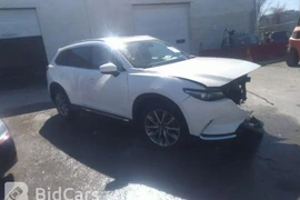 Mazda CX-9 2019г.