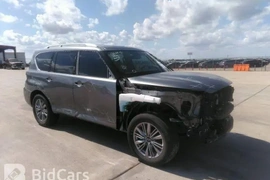 Infiniti QX80 2019г.