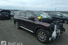 Hyundai Palisade 2023г.