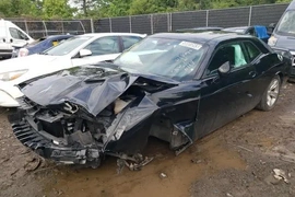 Dodge Challenger 2021г.