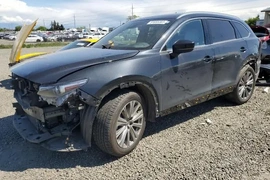 Mazda CX-9 2022г.
