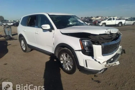 KIA Telluride 2020г.
