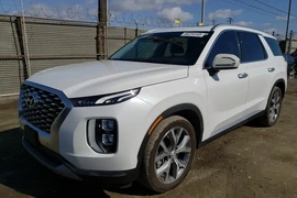 Hyundai Palisade 2020г.