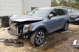 Kia Telluride 2020г.