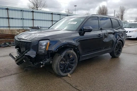 Kia Telluride 2022г.