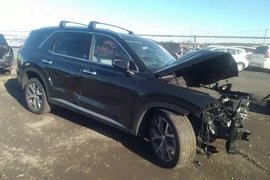Hyundai Palisade 2022г.