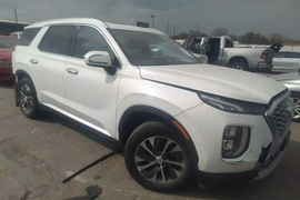 Hyundai Palisade 2020г.