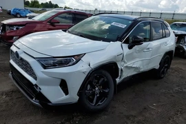 Toyota RAV4 Hybrid 2019г.