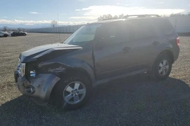 Ford Escape 2009г.