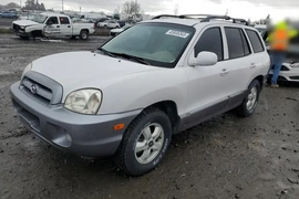 Hyundai Santa Fe 2005г.