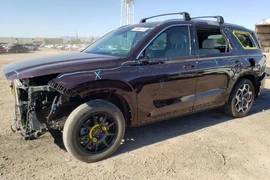 Hyundai Palisade 2022г.