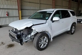 Hyundai Palisade 2020г.