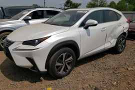 Lexus NX 2019г.