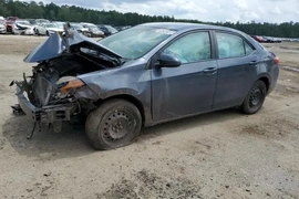 Toyota Corolla 2019г.