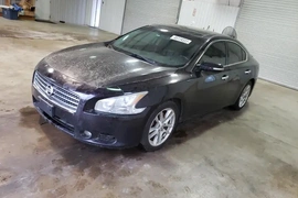 Nissan Maxima 2010г.