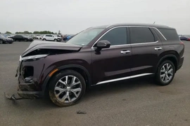 Hyundai Palisade 2020г.